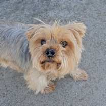 Thumbnail photo of Tanner #2