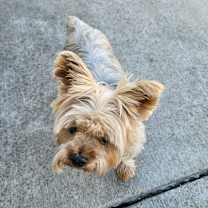 Thumbnail photo of Tanner #3