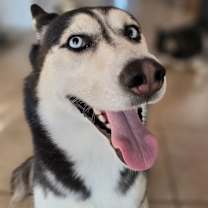 Thumbnail photo of Luna #3