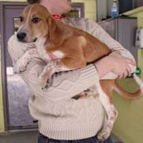 Thumbnail photo of Simone #2