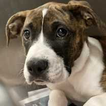 Thumbnail photo of Felicity #1