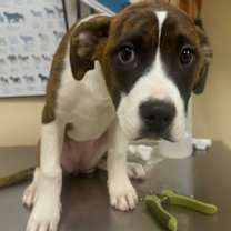 Thumbnail photo of Felicity #2