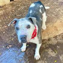 Thumbnail photo of Sushi #2