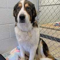 Thumbnail photo of Vivaldi #1