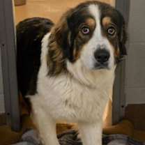 Thumbnail photo of Vivaldi #2