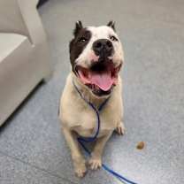 Thumbnail photo of Bruce #1