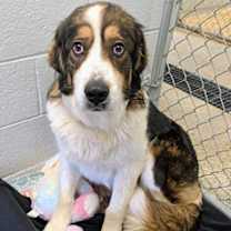 Thumbnail photo of Vivaldi #3