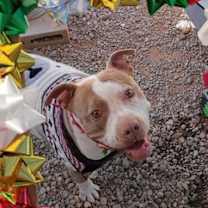 Thumbnail photo of Baby Girl #2