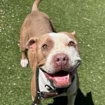 Thumbnail photo of Baby Girl #3