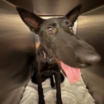 Thumbnail photo of Eve #1