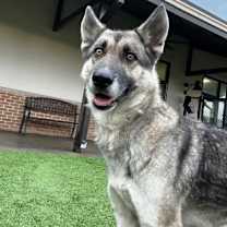 Thumbnail photo of Pumpkin #1