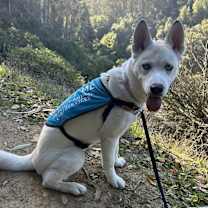 Thumbnail photo of Angela #1