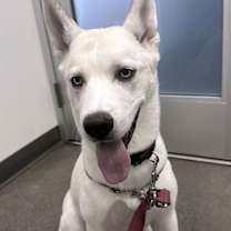 Thumbnail photo of Angela #3