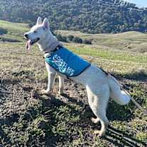 Thumbnail photo of Angela #4