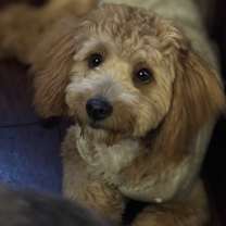 Thumbnail photo of Matt #2