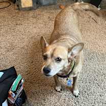 Thumbnail photo of Splash #1