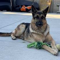 Thumbnail photo of Qiqi #2