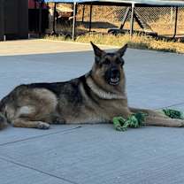 Thumbnail photo of Qiqi #3