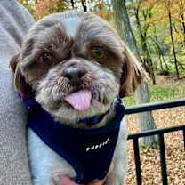 Thumbnail photo of Montgomery #2