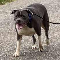 Thumbnail photo of Cash #2