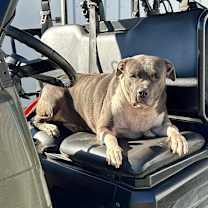 Thumbnail photo of Cash #3