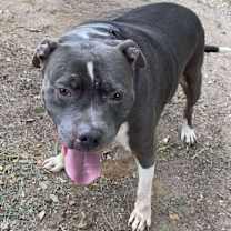 Thumbnail photo of Cash #4