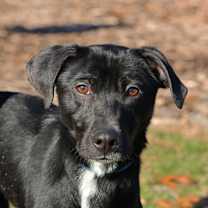 Thumbnail photo of Bubs #1