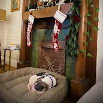 Thumbnail photo of Griselda #2