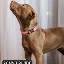 Thumbnail photo of Sonya Blade #2