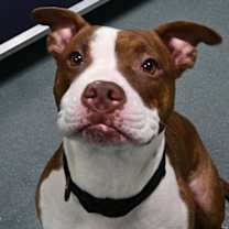 Thumbnail photo of Madam #2