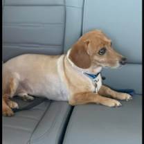 Thumbnail photo of Prince #1