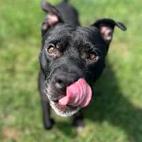 Thumbnail photo of Matteo #1