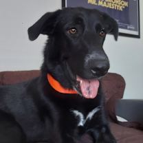 Thumbnail photo of Kelly JuM/PF #1