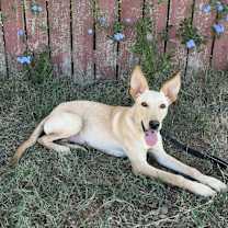 Thumbnail photo of Maddie MC #1