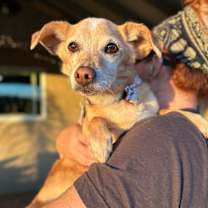 Thumbnail photo of Roger Sterling #1