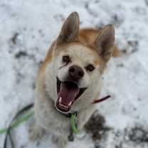 Thumbnail photo of Vladimir #2