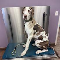 Thumbnail photo of Singer #1