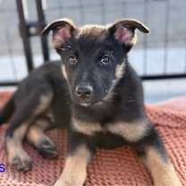 Thumbnail photo of Oasis #3