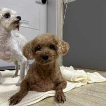 Thumbnail photo of Aki #3