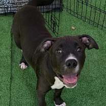 Thumbnail photo of Loo #4