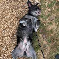 Thumbnail photo of Max #2