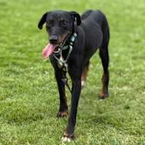 Thumbnail photo of Malu #1