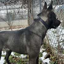 Thumbnail photo of Prince #3