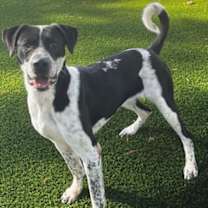 Thumbnail photo of Darby #1