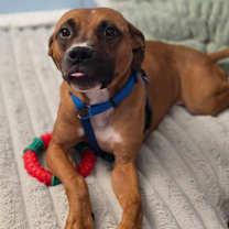 Thumbnail photo of Valerie #1