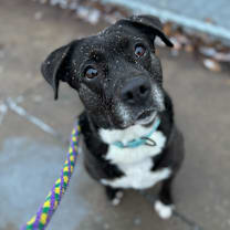 Thumbnail photo of Finnley #1