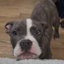 Thumbnail photo of Squishy #4