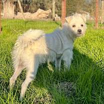 Thumbnail photo of Zeke #1