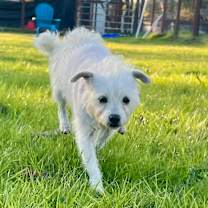 Thumbnail photo of Zeke #2