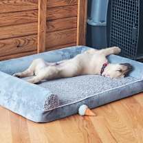 Thumbnail photo of Ferguson #4